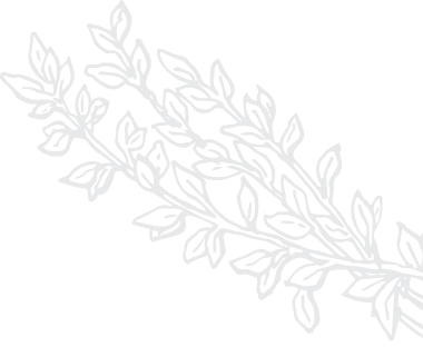 India Village Restaurant